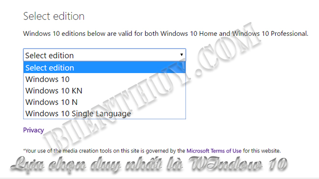 Cách download Windows XP, Windows 7, 8.1 trực tiếp từ Microsoft